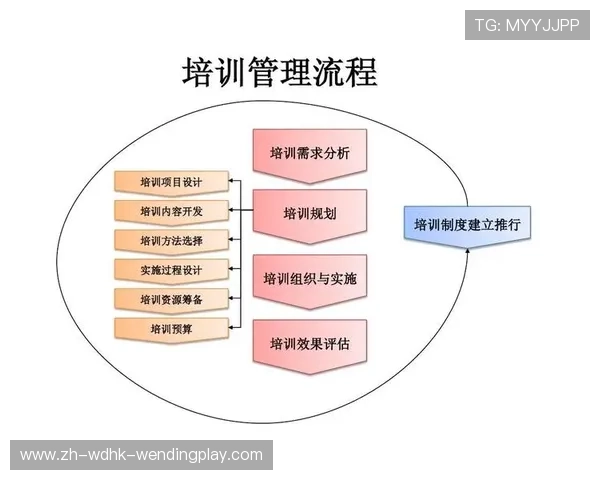 健身器材重量调节方式详解及适用训练需求分析