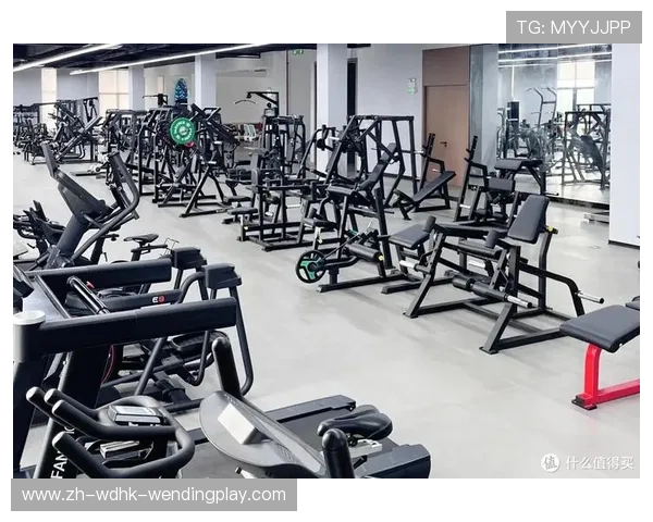 家庭健身器材配备建议及使用心得分享